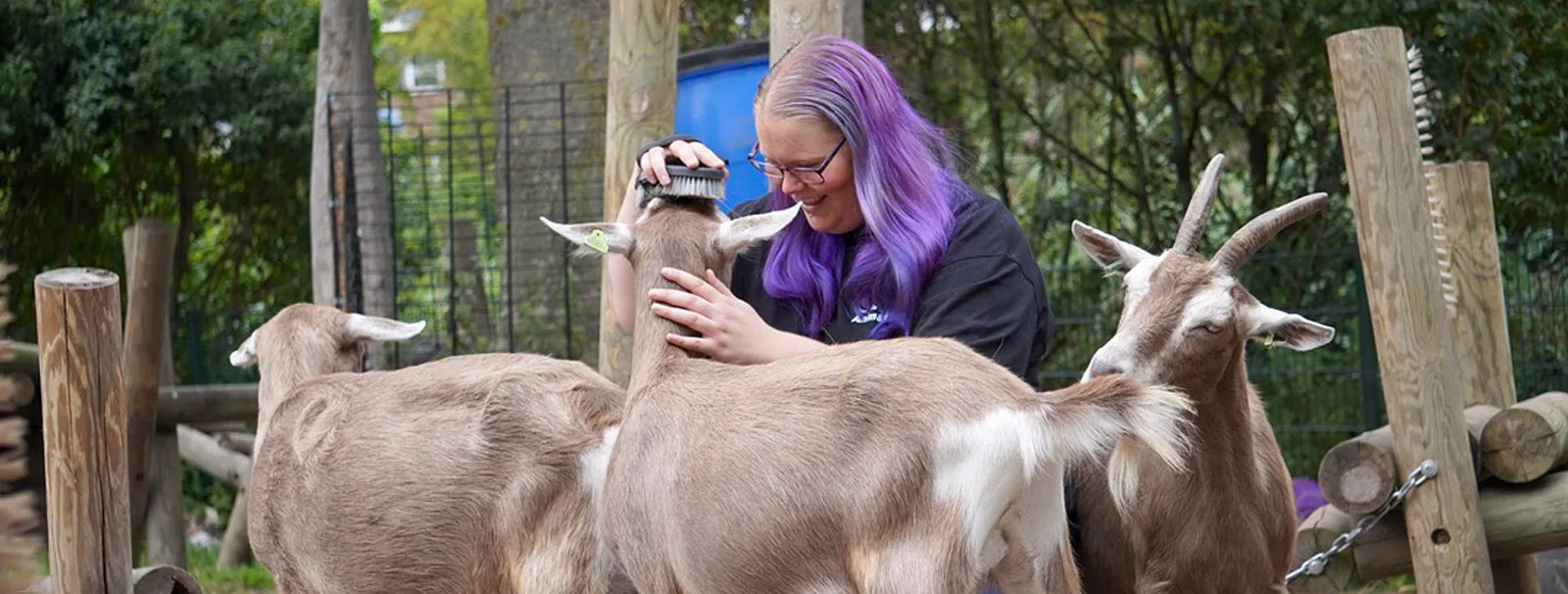 Dagbesteding bij Dierentuin Animal Farm