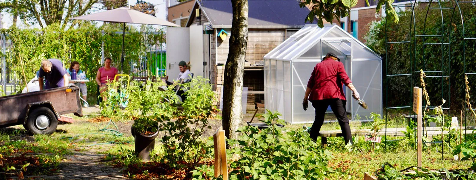 Dagbesteding IJmuiden Buurttuin Bloeiboei