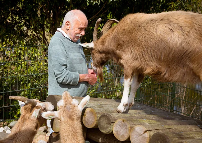 Dagbesteding dierentuin