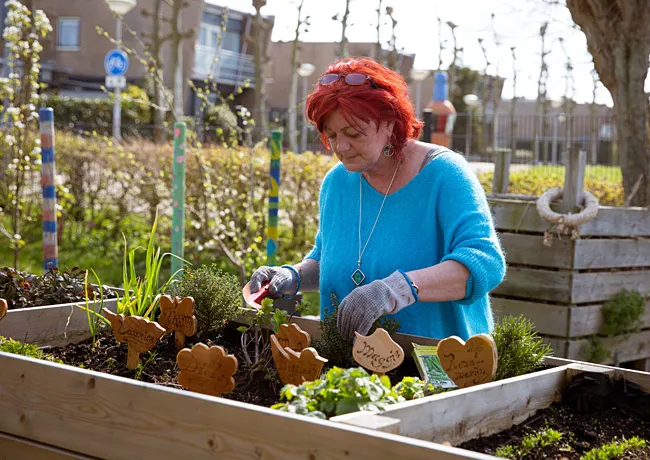 BuitenGewoon Buurttuin Bloeiboei IJmuiden